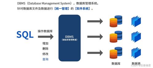 MySQL基础入门 发展起源、数据类型、安装与开发